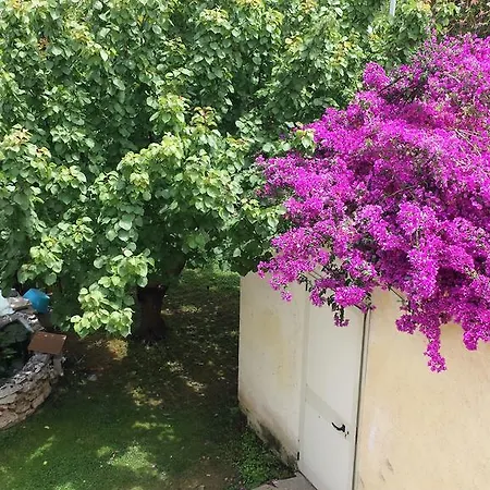 Bed & Breakfast Vento Dell'est