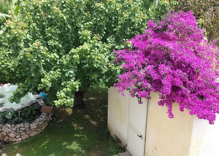 Vento Dell'est 3* San Cataldo (Apulia)